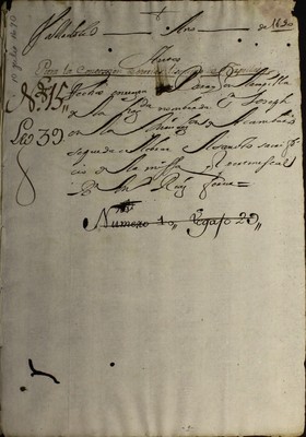 Libro Diocesano 306 de la sección Gobierno serie Parroquias-Licencias