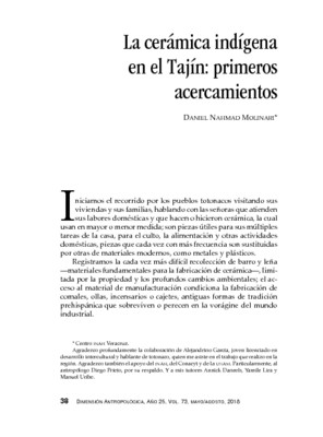 La cerámica indígena en El Tajín: primeros acercamientos