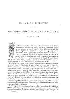 Un hallazgo importante. Un primoroso ropaje de plumas.