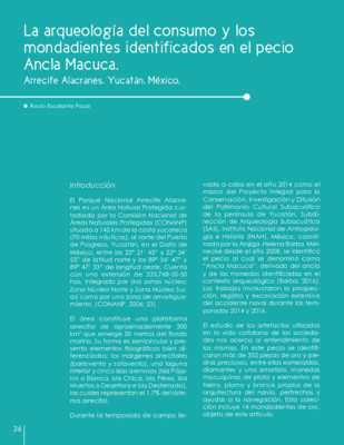 La arqueología del consumo y los mondadientes identificados en el pecio Ancla Macuca