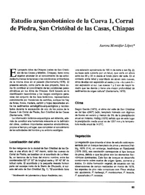Estudio arqueobotánico de la Cueva 1, Corral de Piedra, San Cristobal de las Casas, Chiapas