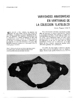 Variedades anatómicas en vértebras de la colección de Tlatelolco.