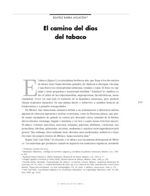 El camino del dios del tabaco