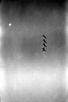 Formación de aviones durante la exhibición de Los Ángeles Azules en la ciudad de México