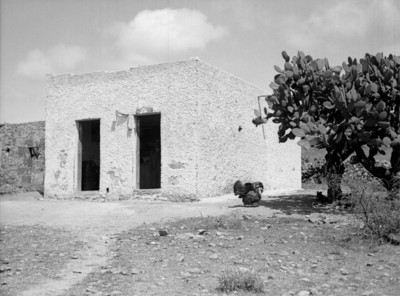 Casa rústica con nopalera en el Valle del Mezquital