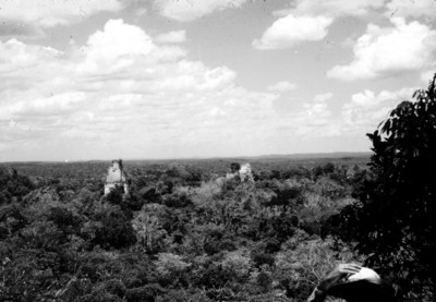 Panorámica de la zona arqueológica de Tikal