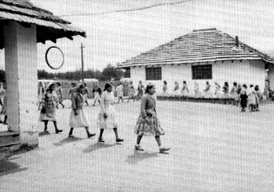 Adolescentes mestizas caminan alrededor de una escuela