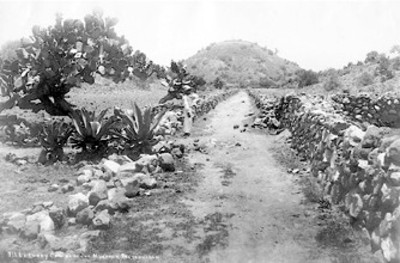 711. Pirámide de la Luna y camino de los muertos, Teotihuacan[sic.]