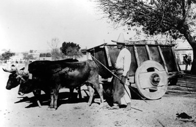 Hombre con carreta de bueyes