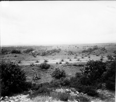 Paisaje con iglesia al fondo