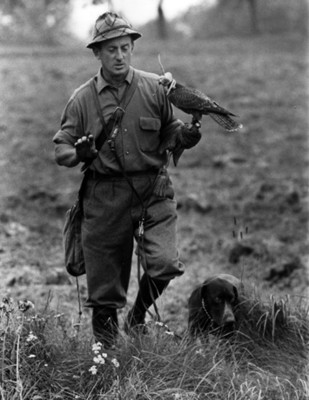 Hombre camina por un campo con un águila y un perro