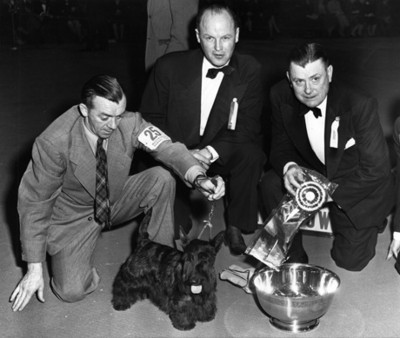 Hombres con trofeo durante concurso de perros, retrato