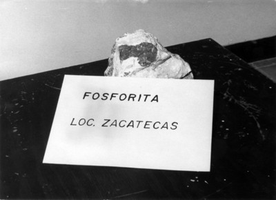 Fragmento de Fosforita procedente de Zacatecas