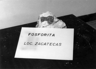 Fragmento de Fosforita procedente de Zacatecas