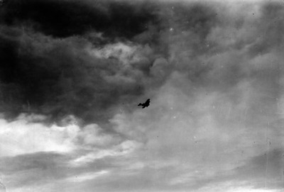 Avión volando