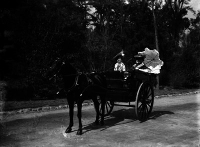 Mujeres abordo de un carruaje en un parque, retrato