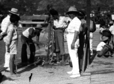 Turistas observando a pescadores tirar de sus redes pescado