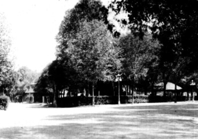 Bosque de Chapultepec, vista parcial