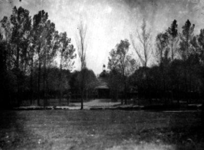 Bosque de Chapultepec, vista parcial