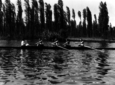 Remadores en una canoa durante una competencia en el canal de Xochimilco