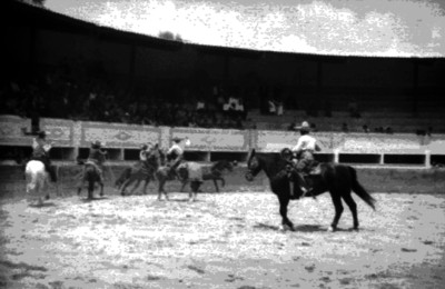 Charros lazan a una yegua
