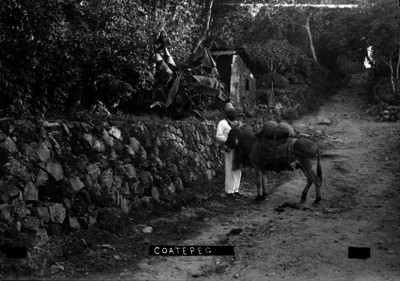 Arriero en una calle empedrada en "COATEPEC"