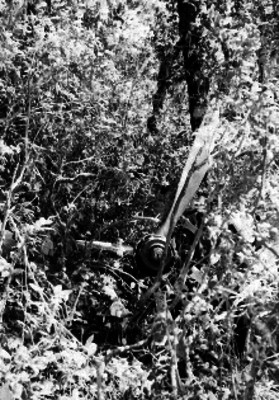 Hélice del avión accidentado en el Cerro del Borrego