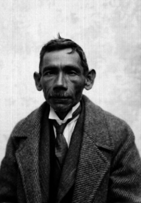 Delincuente detenido, retrato