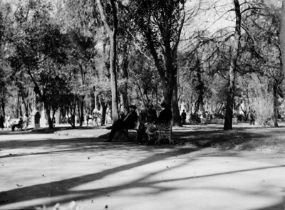 Pareja conversa en la banca de un parque