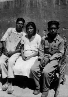 Hombres y mujer detenidos, retrato
