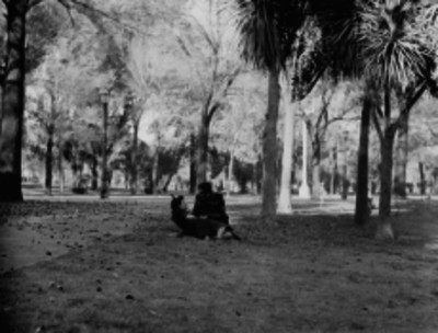 Pareja de novios platicando, sentados en el pasto de un parque