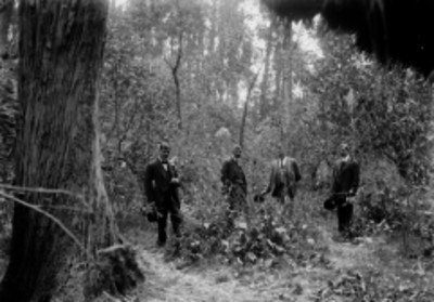 Hombres vestidos elegante enmedio del follaje de un bosque, retrato