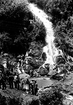 Gente observando una cascada en un bosque