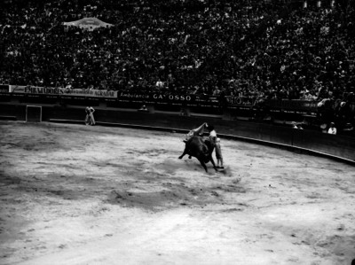 Fermín Espinosa "Armillita" ejecuta una gaona durante una corrida de toros