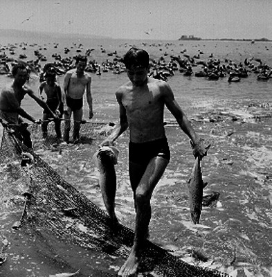 Adolecentes cargando pescados, en la playa de San Blas