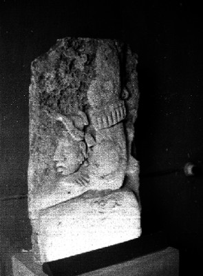 Estelas mayas en el museo de arqueología, detalles