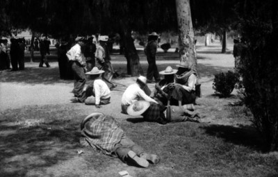 Adolescentes conviviendo en un parque