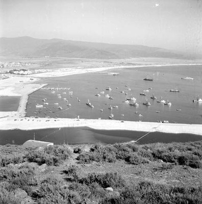 Instalaciones portuarias de la ciudad de Ensenada, vista parcial