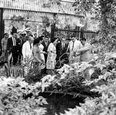 Adolfo López Mateos y Eva Sámano acompañados de su hija y funcionarios durante su visita al jardín botánico de Boga, Indonesia