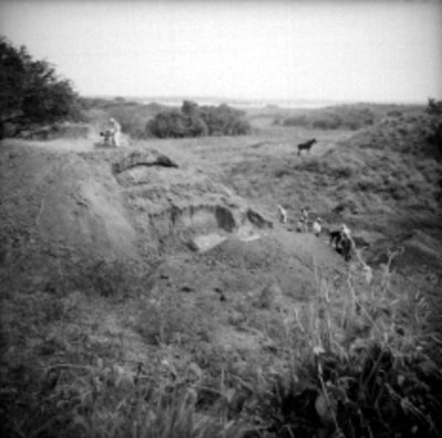 Excavación del "Ediificio B" en Tamos, vista parcial