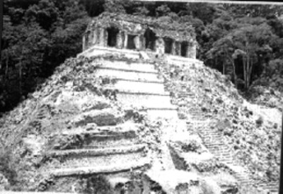Hombres suben escalera del Templo de las Inscripciones, reprografía