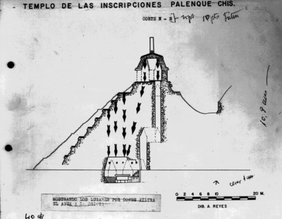 Plano del templo de las Inscripciones, corte Norte-Sur, reprografía