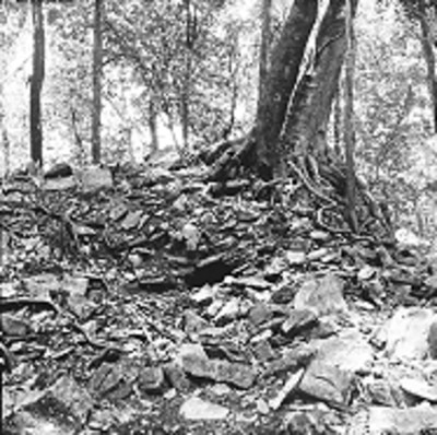 Vista de las ruinas de Palenque antes de los trabajos de desmonte