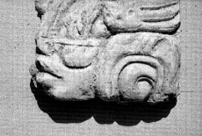Glifo maya perteneciente al Templo XVIII, detalle