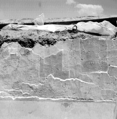 Muro con pintura prehispánica, detalle