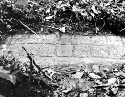 Escalón con escritura maya