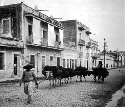 Carbonero con recua de mulas, cruza una calle
