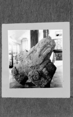 Escultura de la cabeza de una águila exhibida en un museo, reprografía
