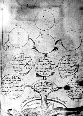 Lámina con el dibujo de un árbol geneológico de Tlemamalitzin