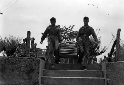 Hombres cargan caja con fruta en una granja de Tlalpan